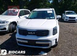 كيا تيلوريد